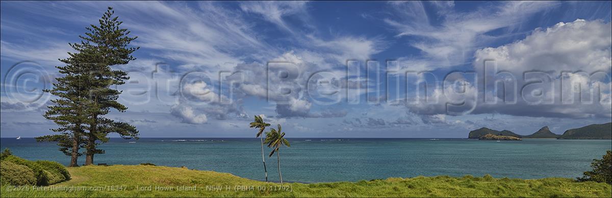 Peter Bellingham Photography Lord Howe Island - NSW H (PBH4 00 11792)